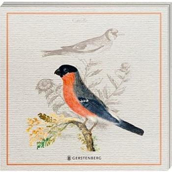 Pasta für Nachtigallen Untersetzer