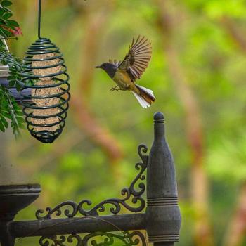 Spiral Feeding Tool Bird Feeder with Carrying Hook, 7.5*7.5*28CM