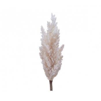 Planta Decorativa Everlands Pampa (Ø 9 x 90 cm)