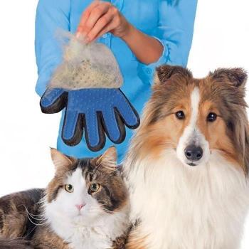 Gants ProChew Nettoyage Droit