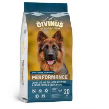 Adult Poultry Nutrition 20 kg – Divinus
