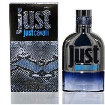 Roberto Cavalli Just Cavalli Him 2013 Eau de Toilette 30 ml