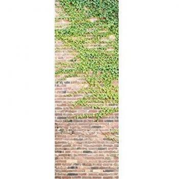 Wilder Wein 100 × 280 cm Fototapete (Vlies) – Einfaches Aufbringen