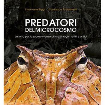 Predatori del microcosmo. La lotta per la sopravvivenza di insetti, ragni, rettili e anfibi. Ediz. illustrata