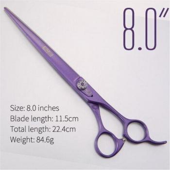 Fenice Estilo Morado 7,0 Para Mascotas
