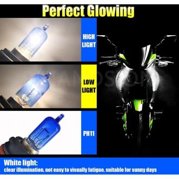 Ruiandsion 2Pcs Motorcycle Halogen Bulb H6M P15D PH11 HS5 P45T 30W/35W 55W/66W 40W Xenon 4300K 6000K