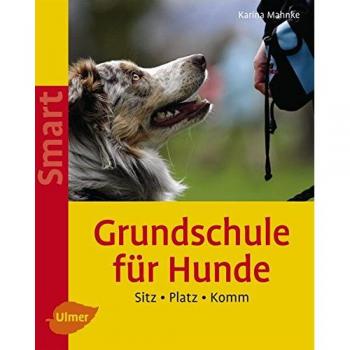 Grundschule für Hunde: Sitz