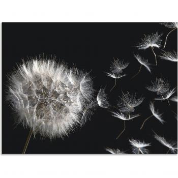 Wandaufkleber Pusteblume von Artland