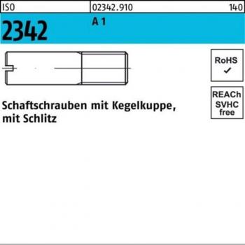 Nobrand Kegelschraube M8x20 ISO 2342 Edelstahl