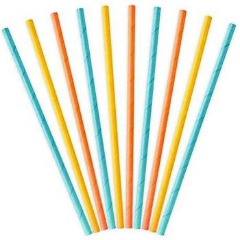 Pailles en Carton Pastel 19,5 cm