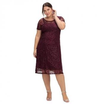 Spitzenkleid SHEEGO Große Größen, Damen, Gr. 46, Normalgrößen, lila (aubergine)