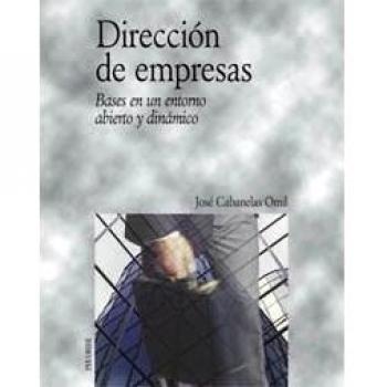 Dirección de empresas: Bases en un entorno abierto y dinámico (Tapa blanda).