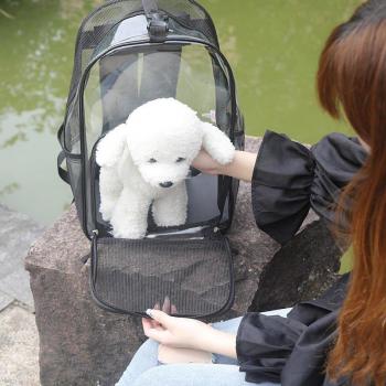 Breathable Mesh Pet Carrier Backpack