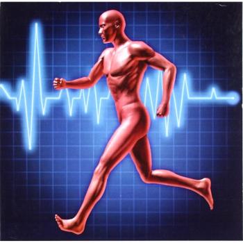 Entrenamiento deportivo en el s. XXI