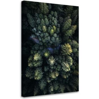 Tela 40x60 “Alberi in Verde” Alta