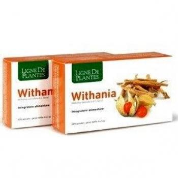 WITHANIA 60CPS NATURA SERVICE