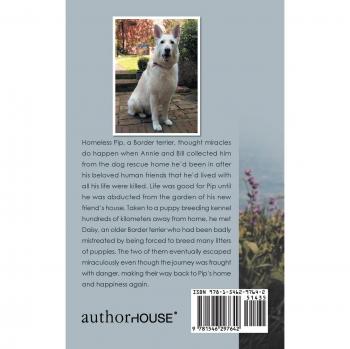 A Tale of Two Dogs