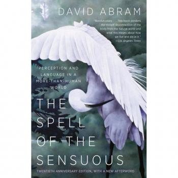The Spell of the Sensuous