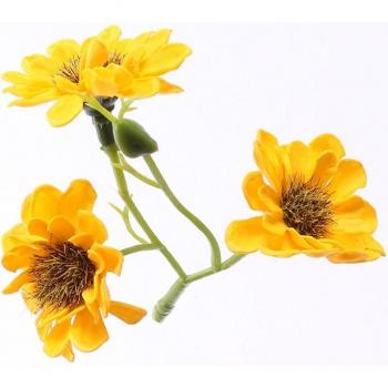 Savon en forme de fleur, 25 pièces, pour la maison