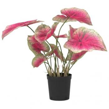 Oasis Florale