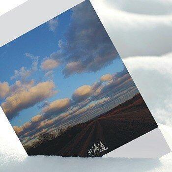 Set 6 cartes d'anniversaire « Hokkaido Urban Charm – Série Postale »