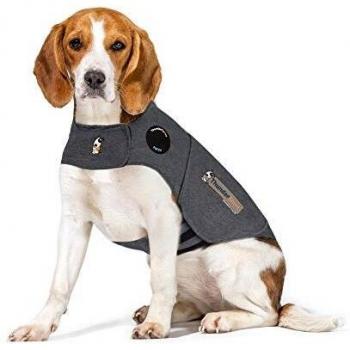 Dog Grey Anxiety Shield – Medium Size