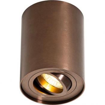 Modern Dark Bronze Swivel Ceiling Light