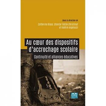 Au coeur des dispositifs d'accrochage scolaire: Continuité et alliances éducatives