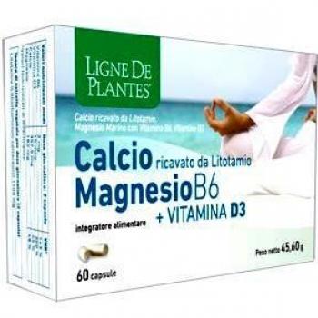CALCIO+MAGNESIO B6+VITD3 60CPS