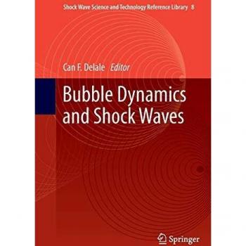 Bubble Dynamics and Shock Waves (Shock Wave Science and Technology Reference Library, 8, Band 8)