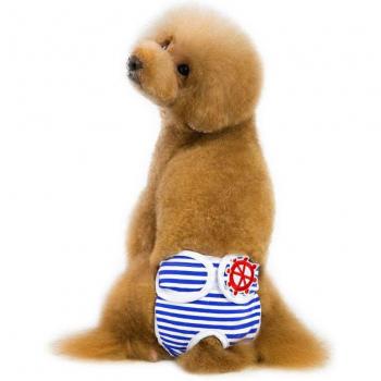 Pantalons de protection pour chiens de compagnie