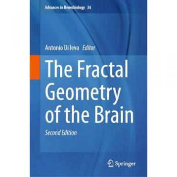 The Fractal Geometry of the Brain
