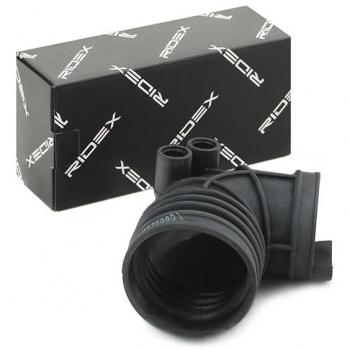 Filtro aria BMW 13541730126