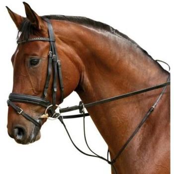 PFIFF Auxiliary Rein Martingale – 3‑way Lock