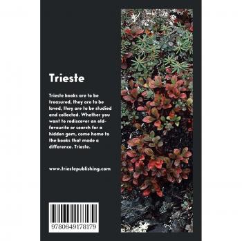 Ike Partington, or, The adventures of a human boy and his friends