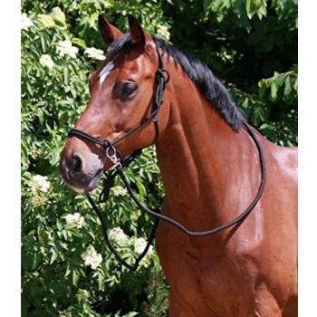 Waldhausen Knot-Halter + Reins (Black, Full)