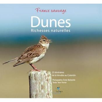 Dunes