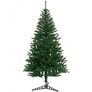 Pino Delle Sorpresé Bosque Brillante