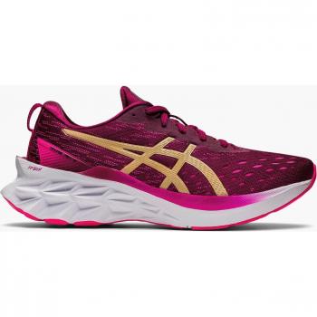 Asics Novablast 2 Mujer
