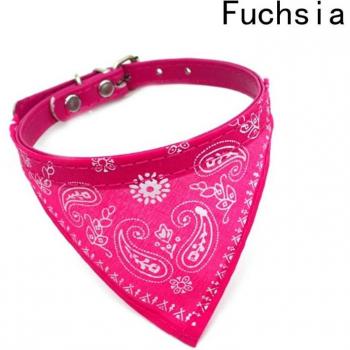 Accesorios de moda para perros pequeños