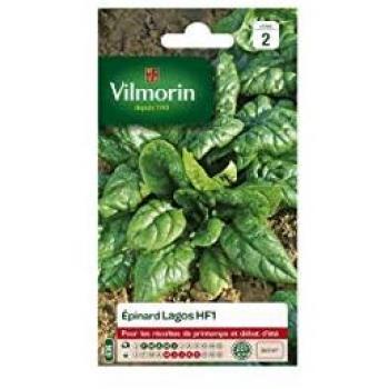 VILMORIN – Épinard Lagos HF1
