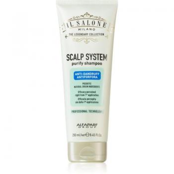 Shampoing Anti-Pelliculaire 250 ml Alfaparf Milano