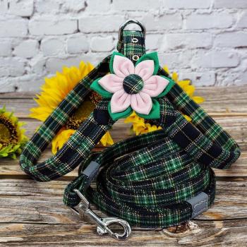 Small Dog Harness and Leash Set