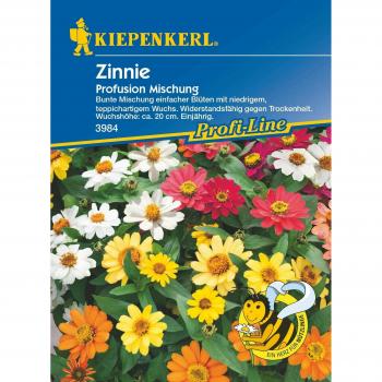 Zinnia Profusion Kiepenkerl