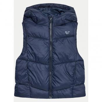 Regular Fit Gilet Blu 4F JWAW24TVJAM134