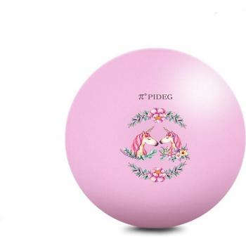 Swiss Ball 65cm