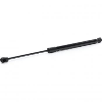 RIDEX Kit di Pistoncini Portellone 8186061M00 – Suzuki
