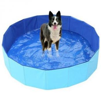 Bathtub for Dogs
