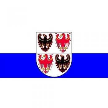 Trento Sur Flag de coche 20x30cm