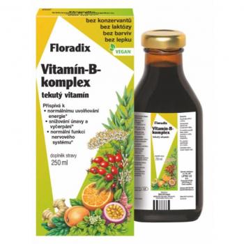 Salus Floradix B-vitamin 250 ml